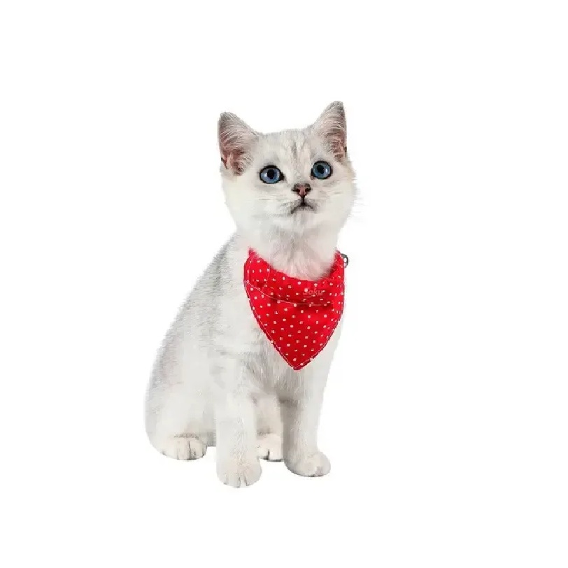 Suéter Felino