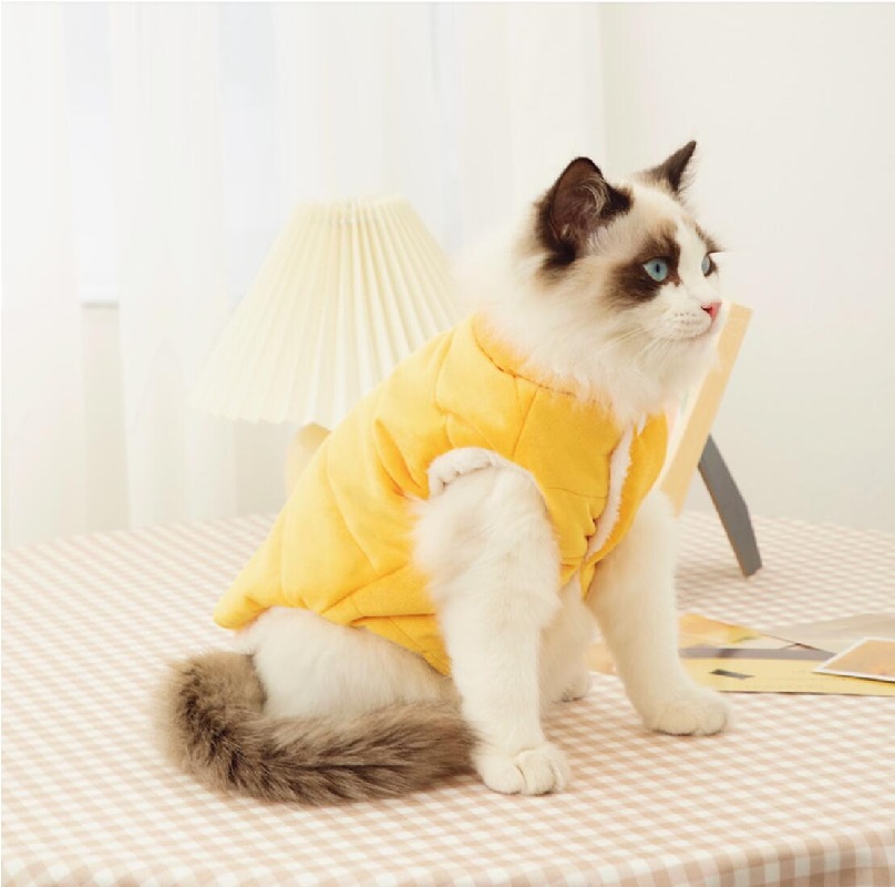 Hoodie Felino