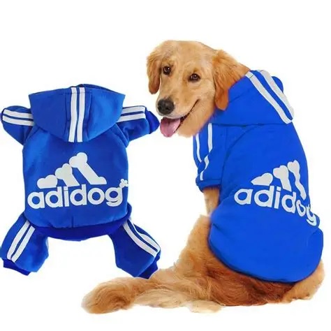 Suéter Térmico Canino