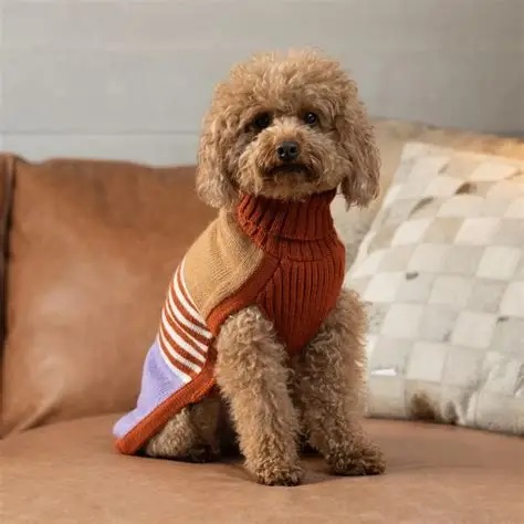 Chaqueta Impermeable Canina
